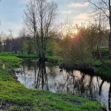 Ale Miejscówka! Całoroczny Nad Jeziorem