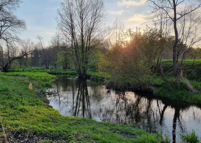 Ale Miejscowka! Caloroczny Nad Jeziorem